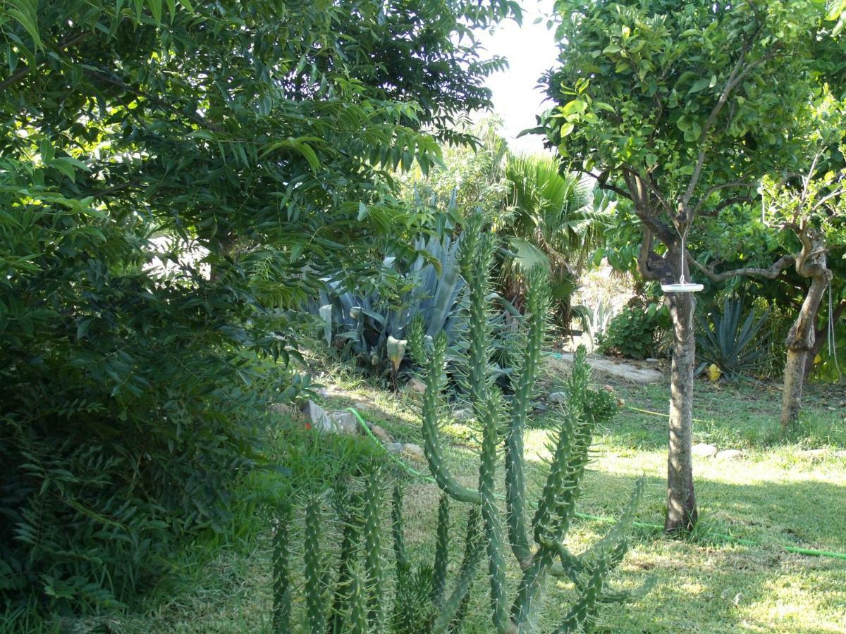 La Finca Blanca Álora Exterior foto